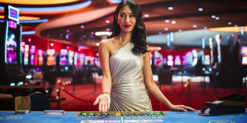 Dàn Dealer xinh ngất ngây