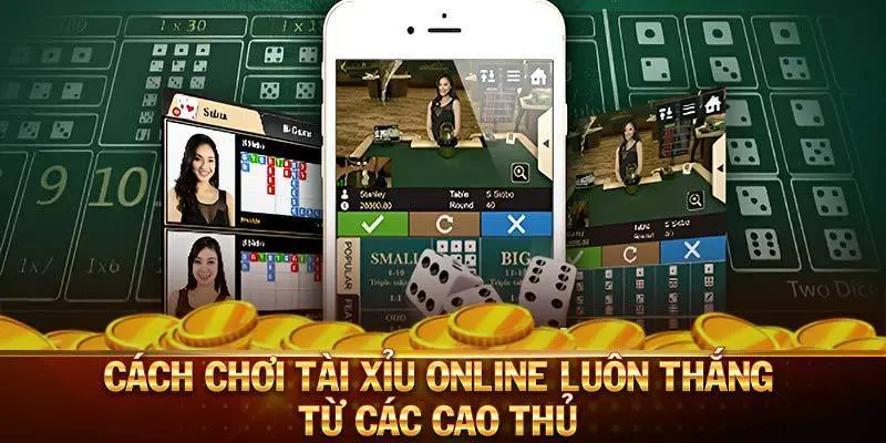 Hướng Dẫn Cách Chơi Tài Xỉu Chuẩn Xác - Hiệu Quả Nhất 2025