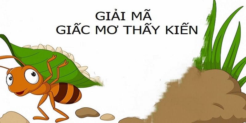 Tìm Hiểu Ý Nghĩa Giấc Mơ Thấy Kiến Và Những Con Số May MắnTìm Hiểu Ý Nghĩa Giấc Mơ Thấy Kiến Và Những Con Số May Mắn